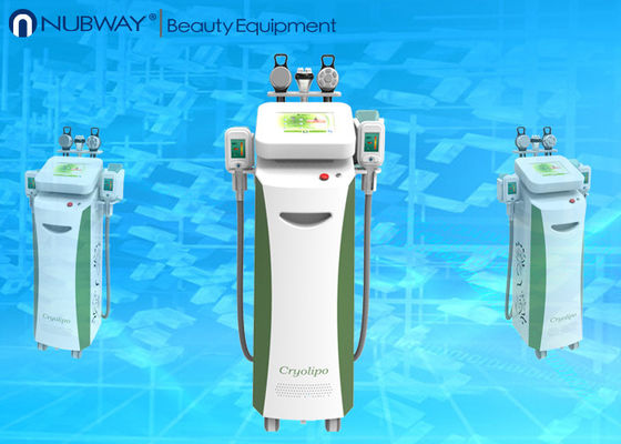 Fetter Frost Cryolipolysis, der die Maschine/fette einfrierende Cellulite-Reduzierung abnehmen Maschine abnimmt