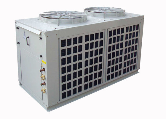 Multi geleitete aufgeteilte Klimaanlage R22 mit hermetischem Rollen-Kompressor